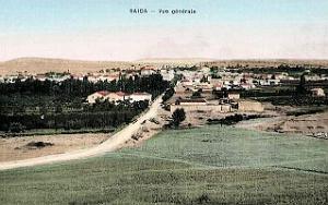 Saida 148